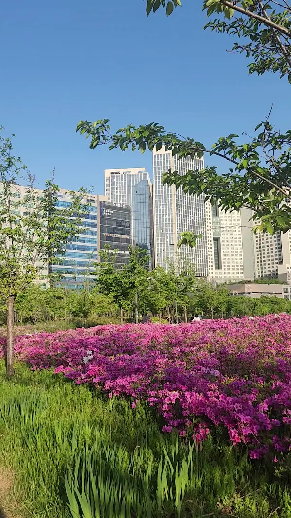 미사호수공원 사진 2