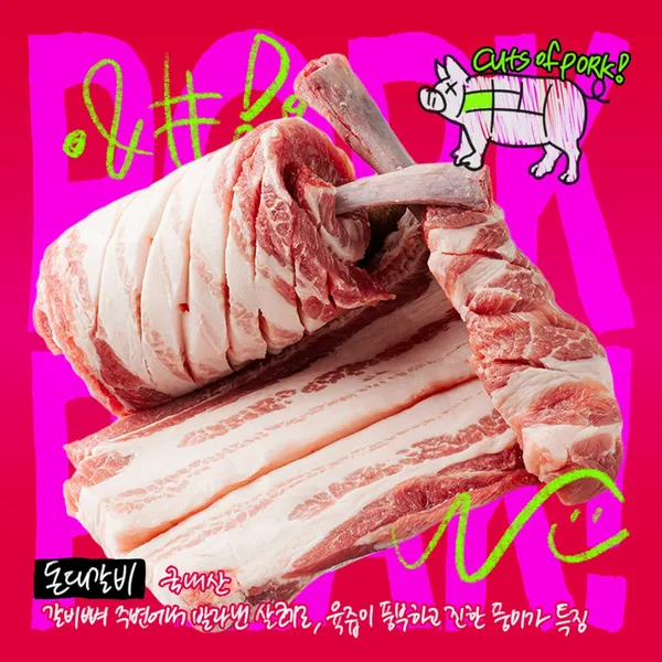 홍대 육지 사진 4
