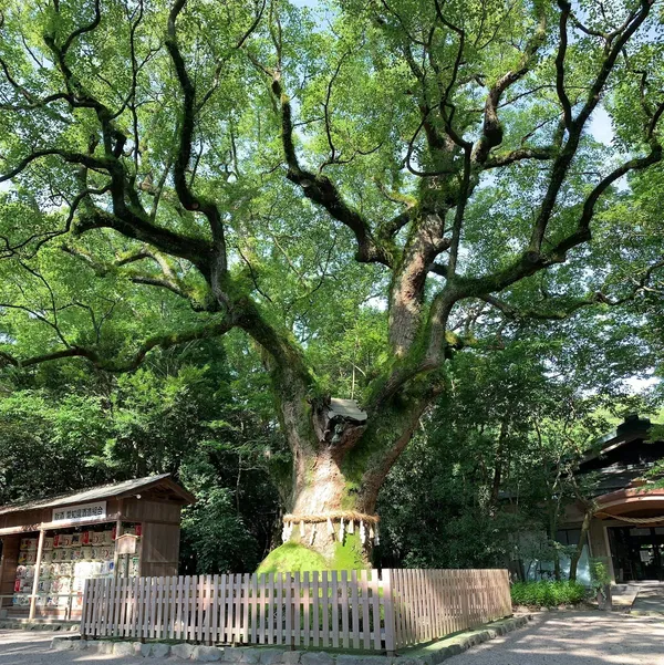 아쓰타 신궁 사진 5