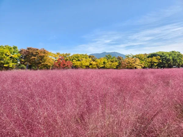미사경정공원