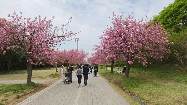 미사경정공원 사진 3