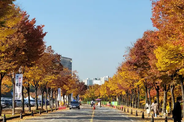 미사경정공원 사진 5