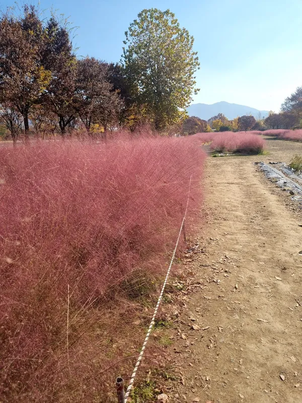 미사경정공원 사진 5
