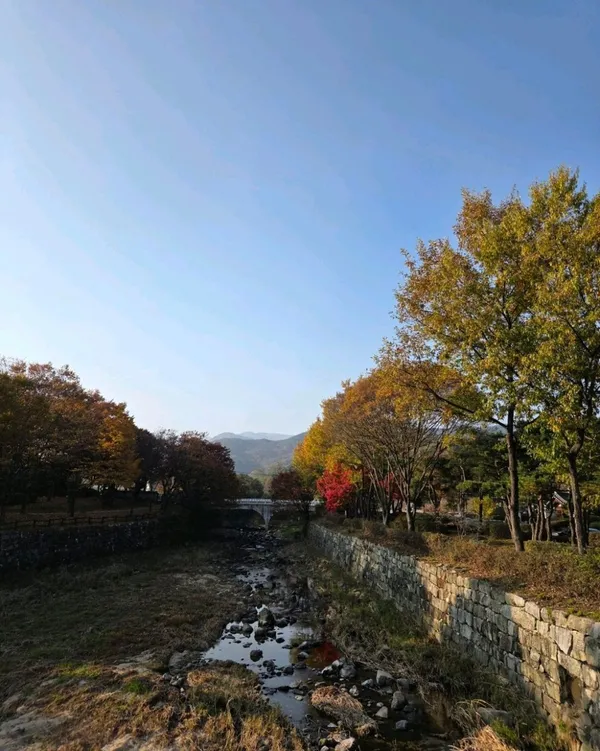 영주랜떡 사진 5