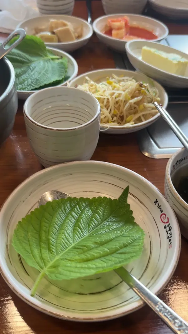 조가네갑오징어 사진 2