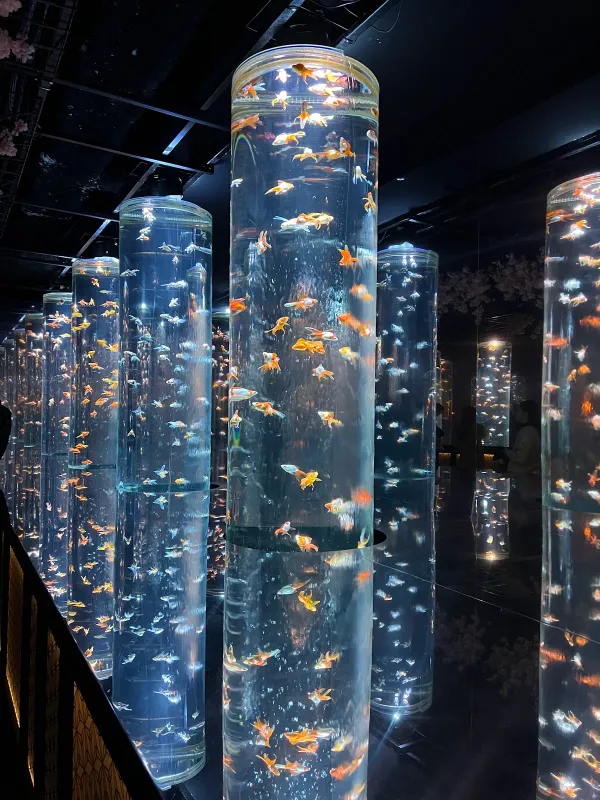 ART AQUARIUM MUSEUM 사진 4