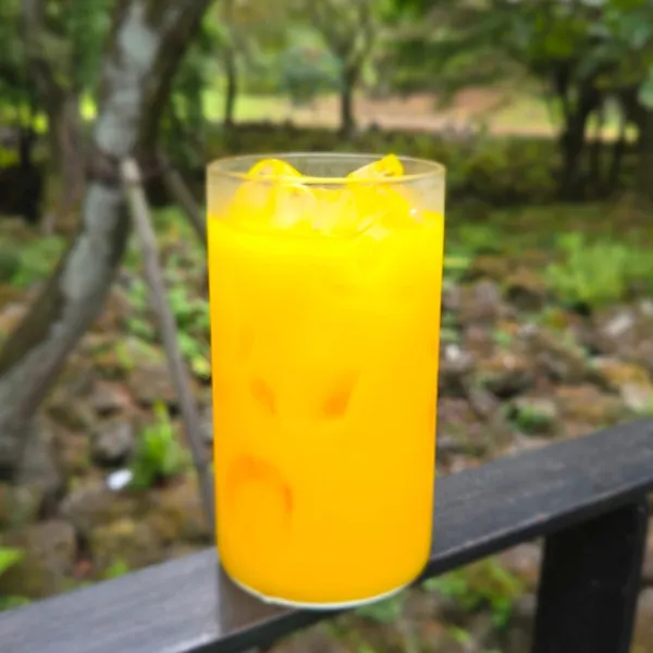 イキスプソギルの写真5