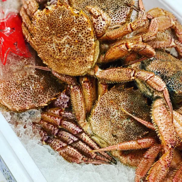 이토오카시 사진 3