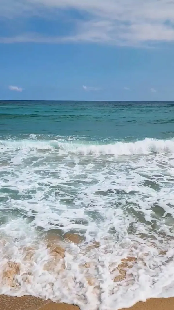 등명해변 사진 5