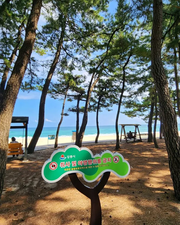 トゥンミョンヘビョンの写真2