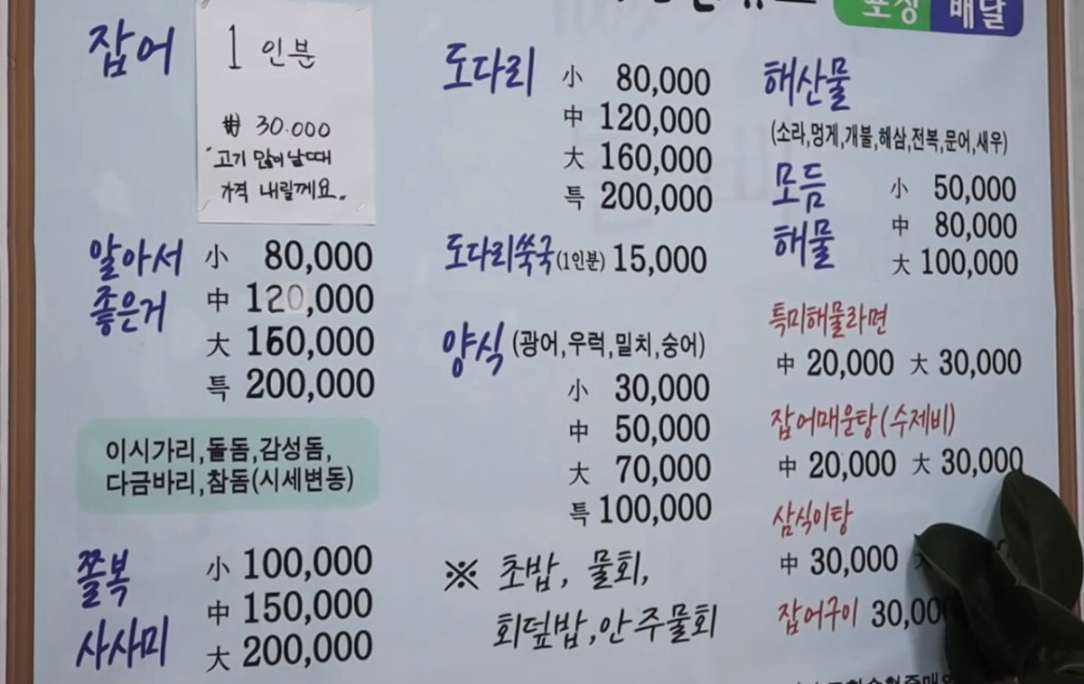 자연산회 돌삐 사진 4