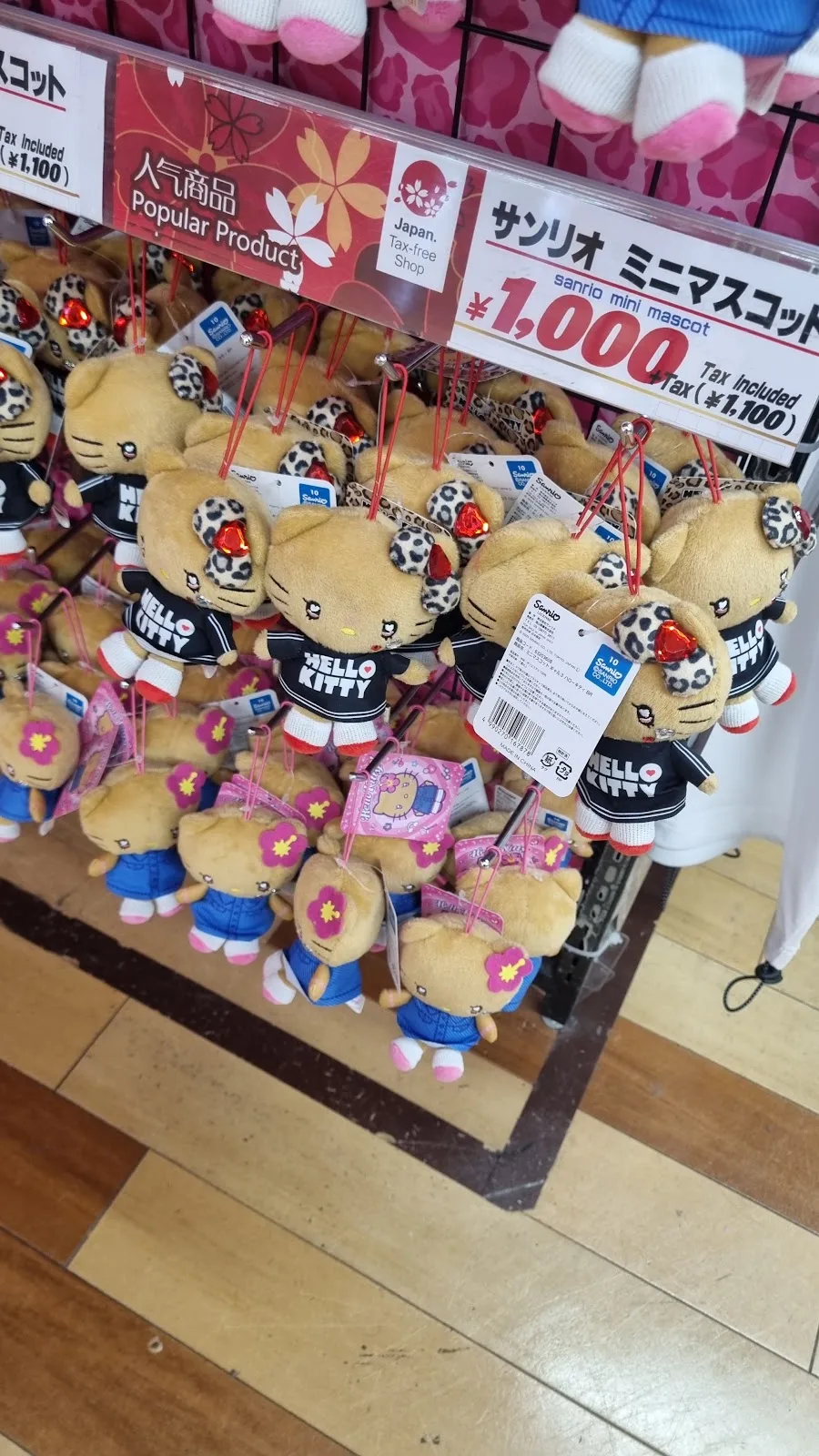 狸小路商店街のメイン写真