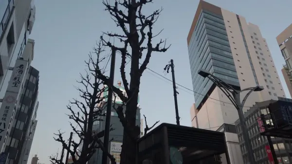 우사기야 사진 2