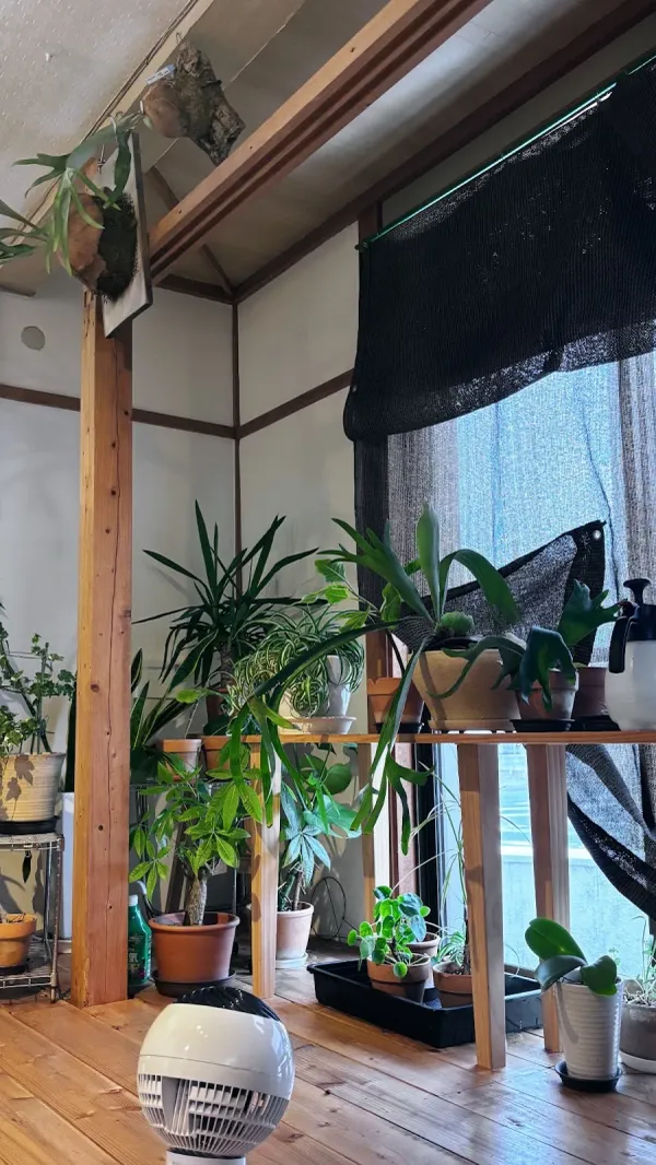 sprout cafe 사진 5