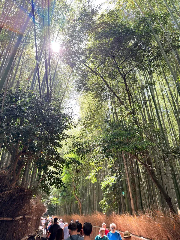 野宮神社の写真5