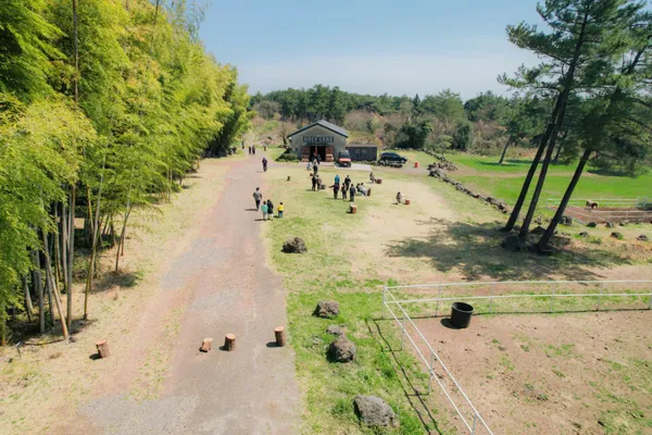 대한목장 사진 3