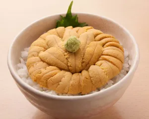 函館うに むらかみ 日本生命札幌ビル店