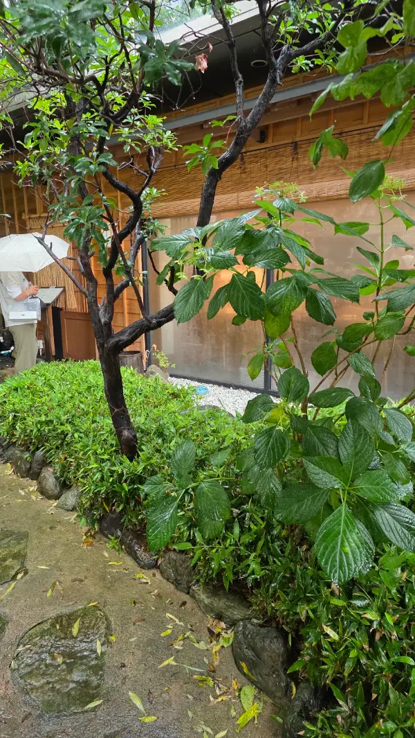 사바타로 사진 5