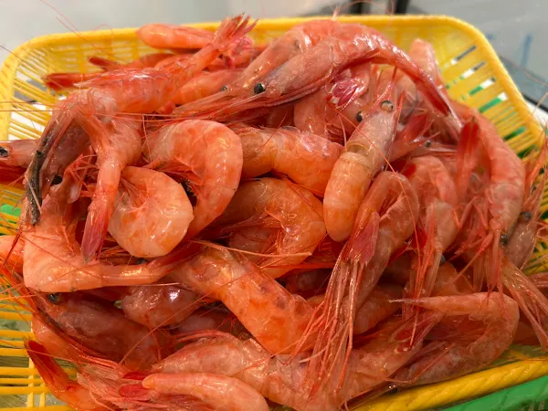 시하치 사진 2