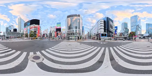 시부야 스크램블 교차로 (Shibuya Scramble Crossing)