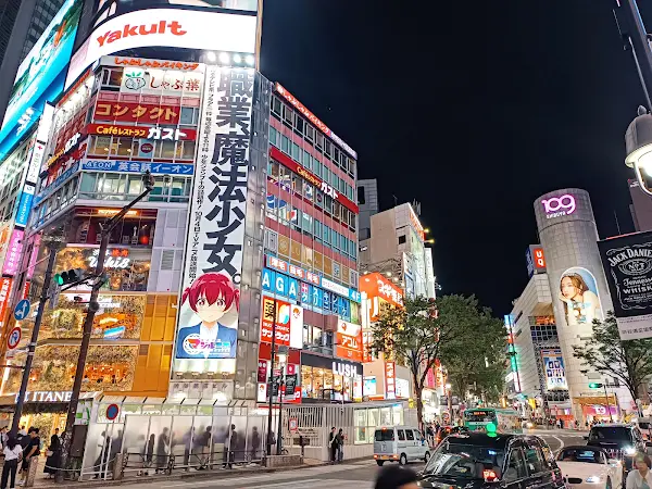 시부야 스크램블 교차로 (Shibuya Scramble Crossing)