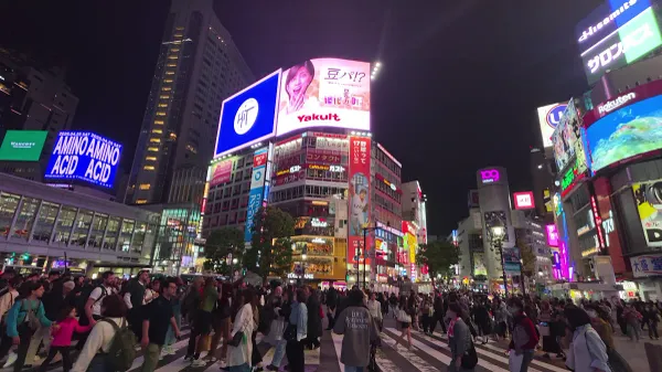 시부야 스크램블 교차로 (Shibuya Scramble Crossing) 사진 3