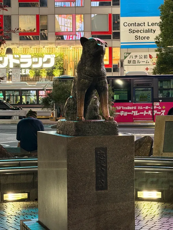 시부야 스크램블 교차로 (Shibuya Scramble Crossing) 사진 4