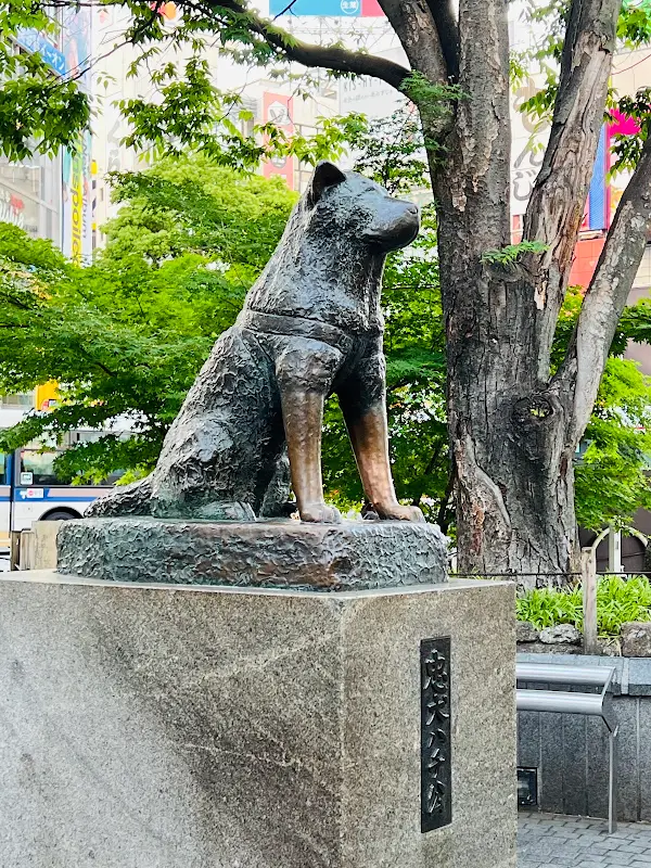 하치코 동상 사진 2