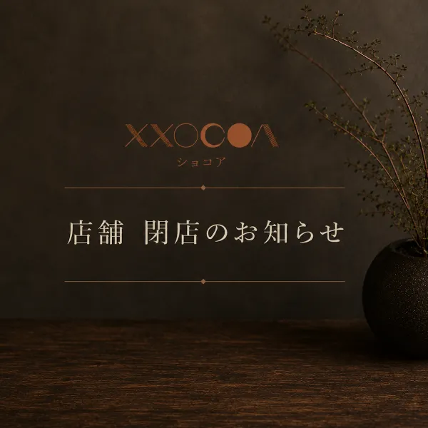 XXOCOA 사진 4
