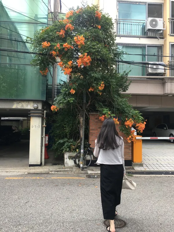 박승광최강해물칼국수 동춘점 사진 4