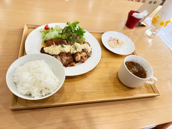 아비마이 사진 4