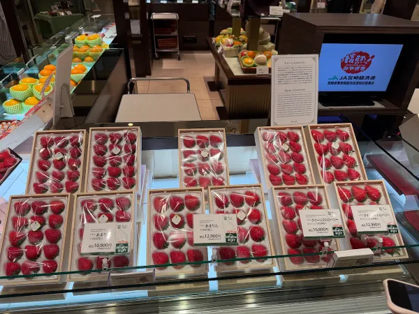 센비키야 총본점 니혼바시점 사진 5