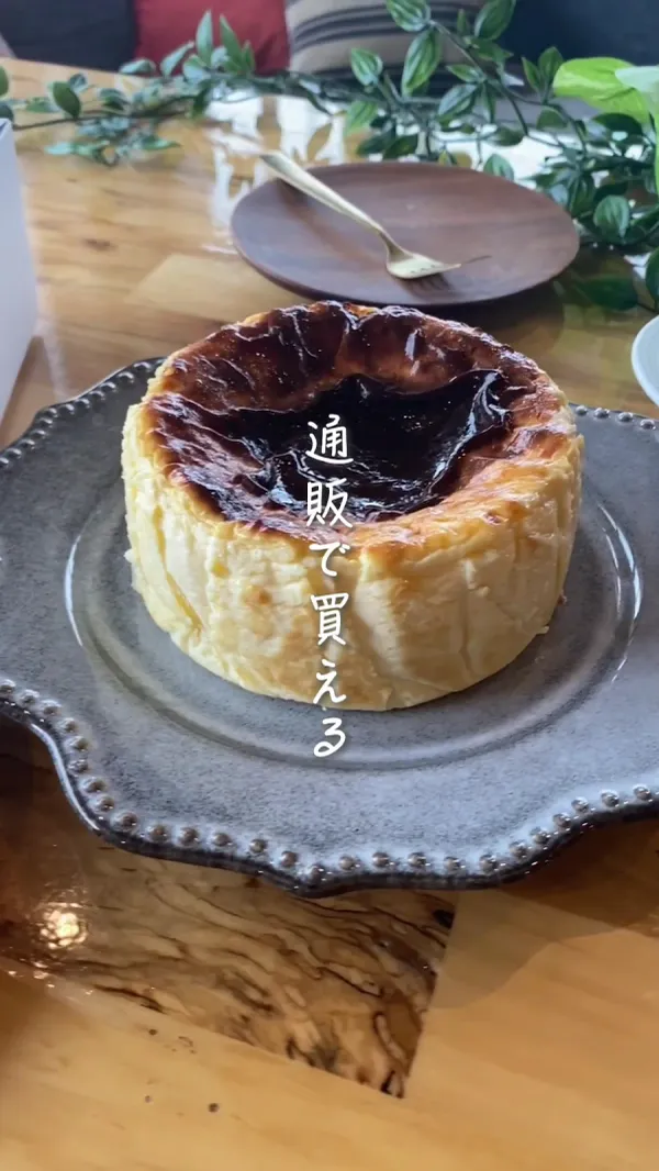 Aged Basque Cheese Cake 사진 2