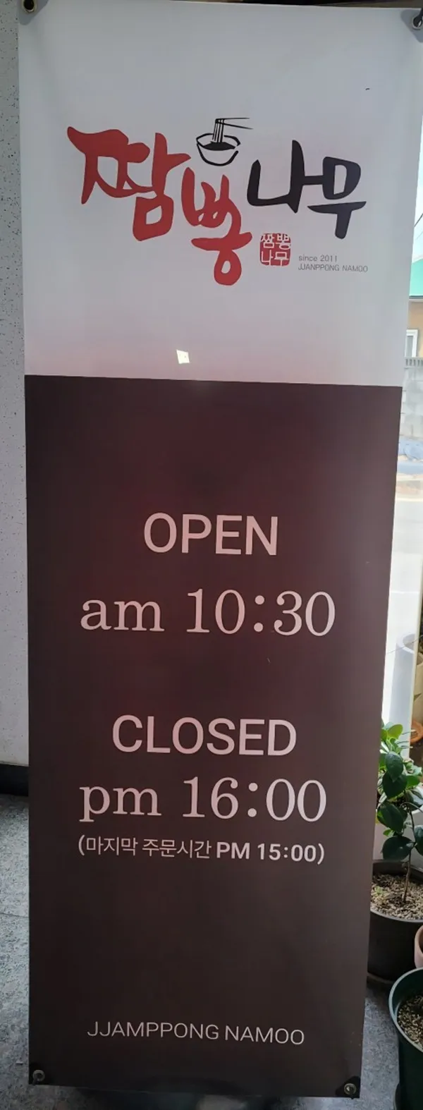짬뽕나무 사진 5