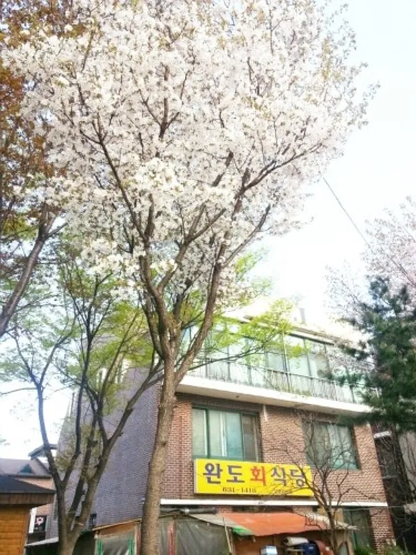 완도회식당 사진 4