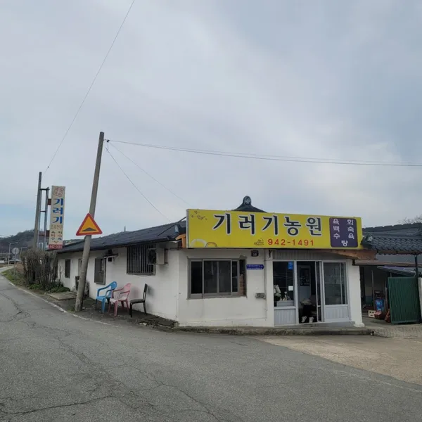 홍가네시장통닭 사진 4