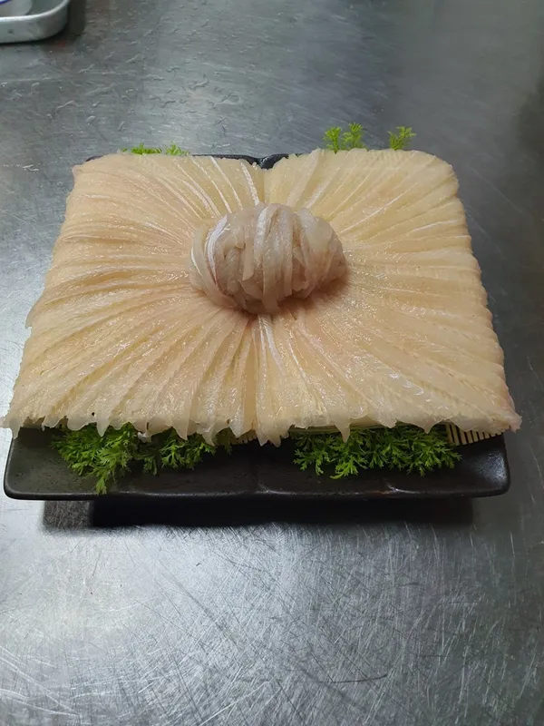 독도참가자미 사진 3