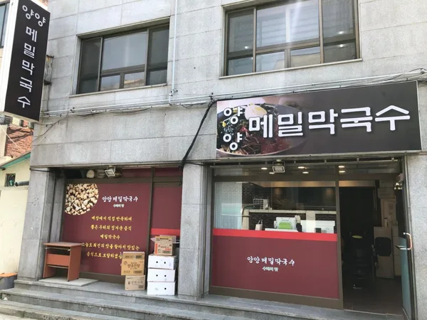 양양메밀막국수 사진 3