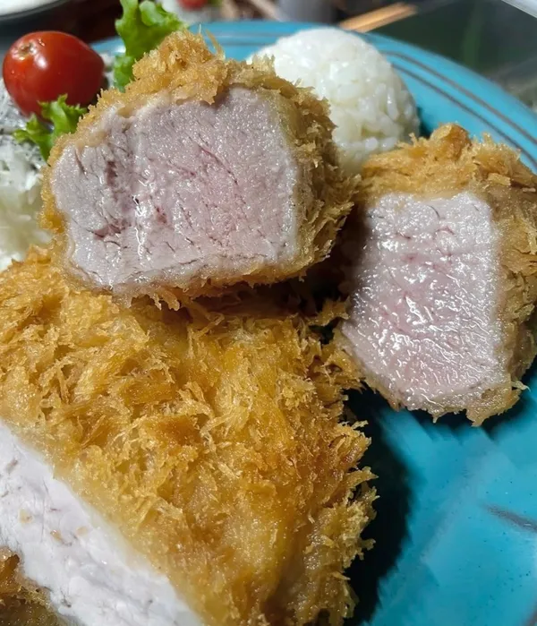 거북이금고 사진 2
