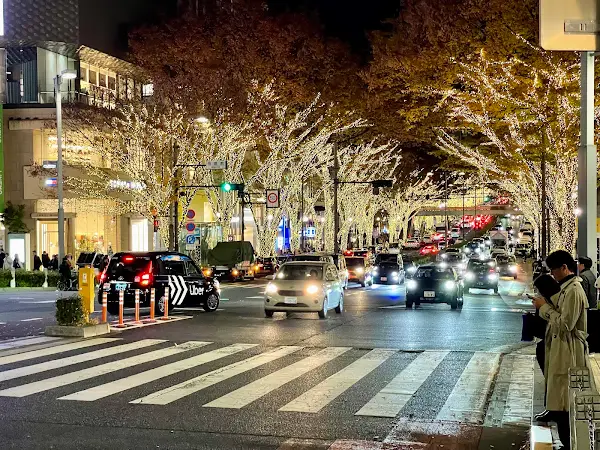 Omote-Sando Ave, Tokyo, 일본