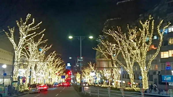 Omote-Sando Ave, Tokyo, 일본 사진 2