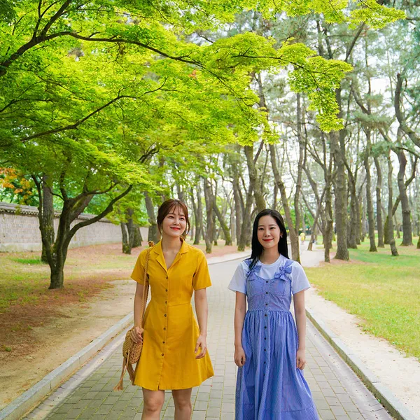 경주대릉원 사진 3