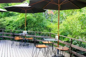 Cafe Tenjosajiki