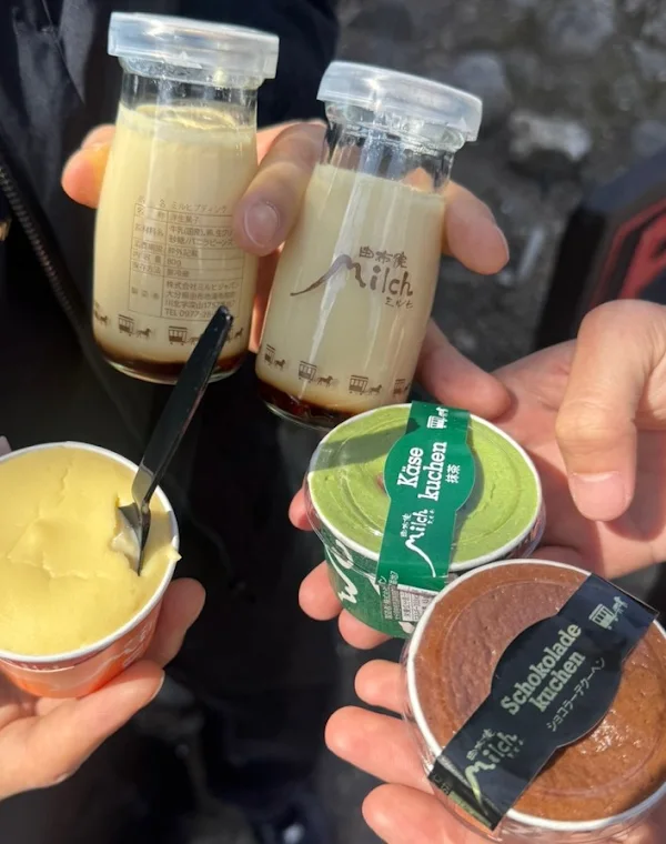 미르히 사진 5