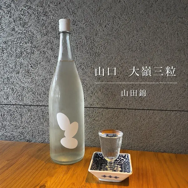 넘버 샷 사진 5