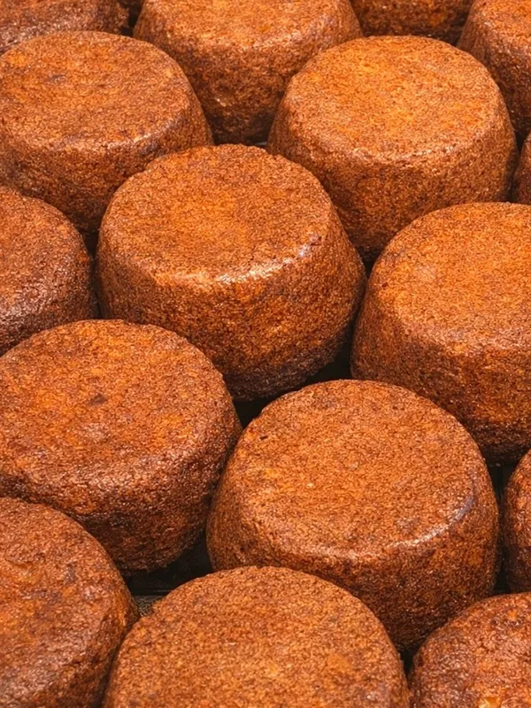 조르바 사진 2
