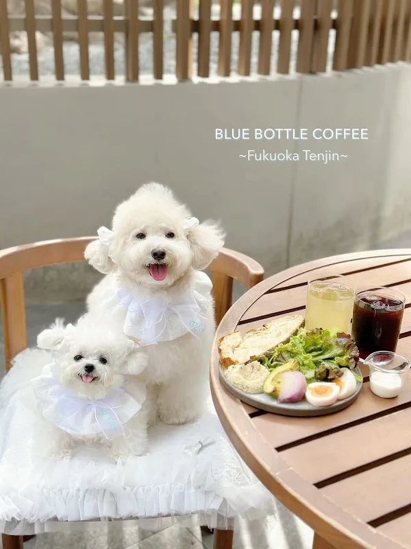 블루 보틀 커피 롯폰기 카페