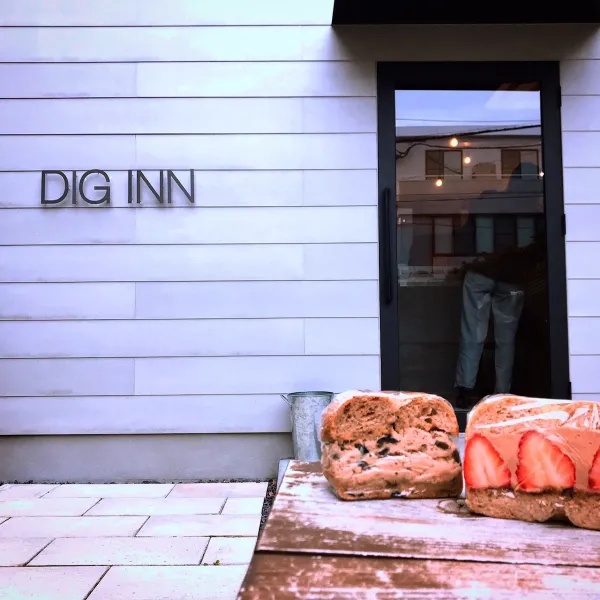 DIG INN