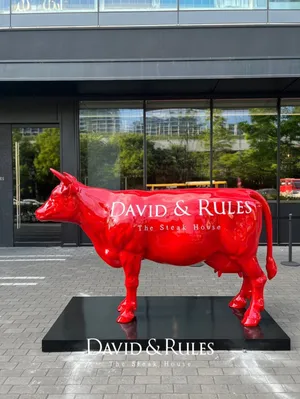 David & Rules