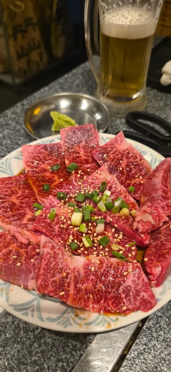 야끼니꾸 히후미 사진 4
